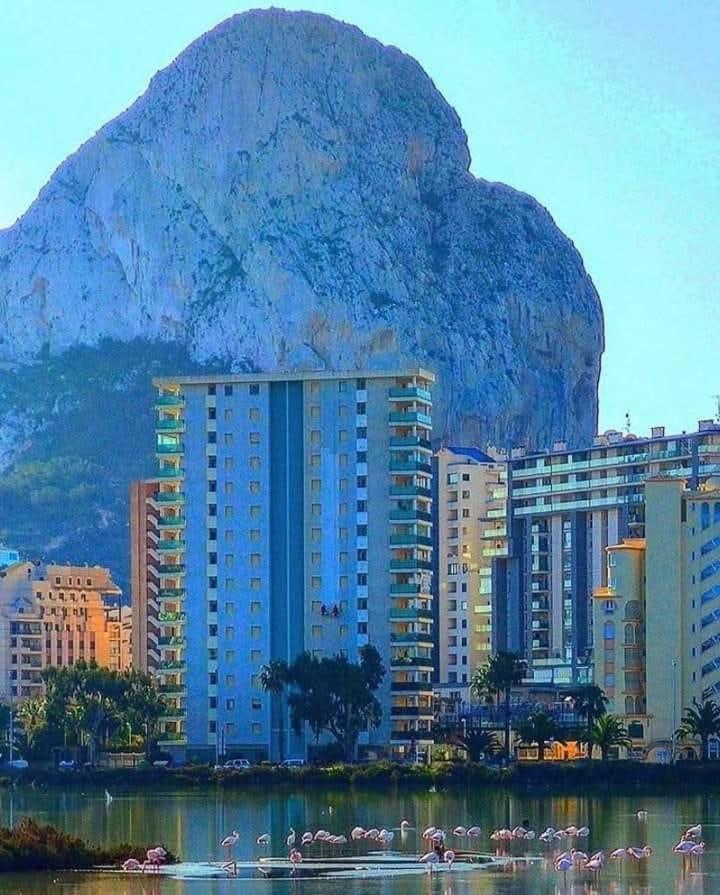 Apartment La Calma *
